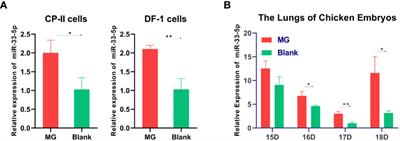 Lnc90386 Sponges miR-33-5p to Mediate Mycoplasma gallisepticum-Induced Inflammation and Apoptosis in Chickens via the JNK Pathway